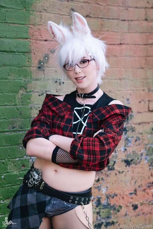 shiriallwood image #0