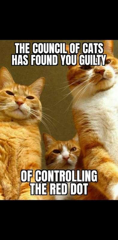 XD guilty...
