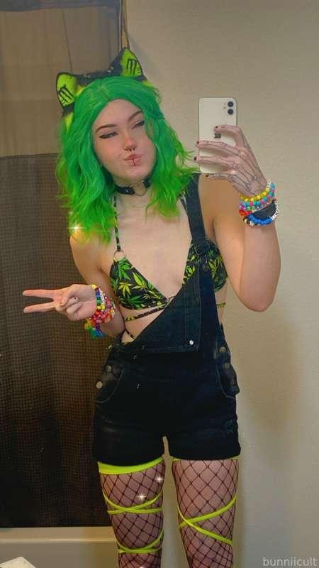 bunniicult image #1