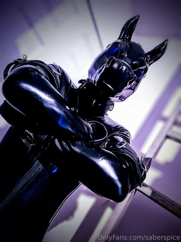 let's get you tied up and comfortable