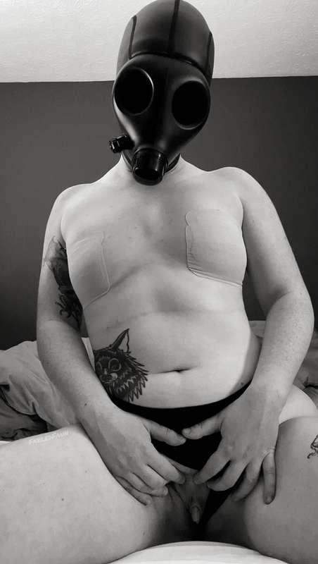 fabledfaun image #6