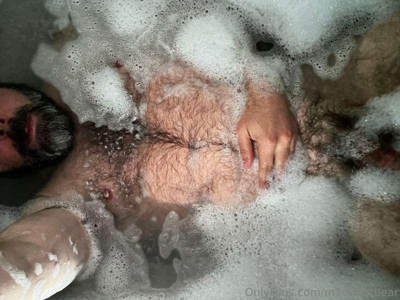 m1dwestbear image #0