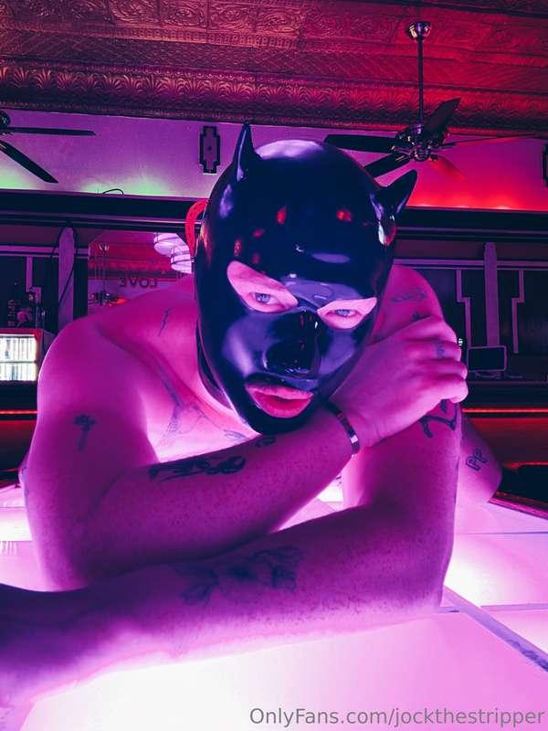 jockthestripper image #4