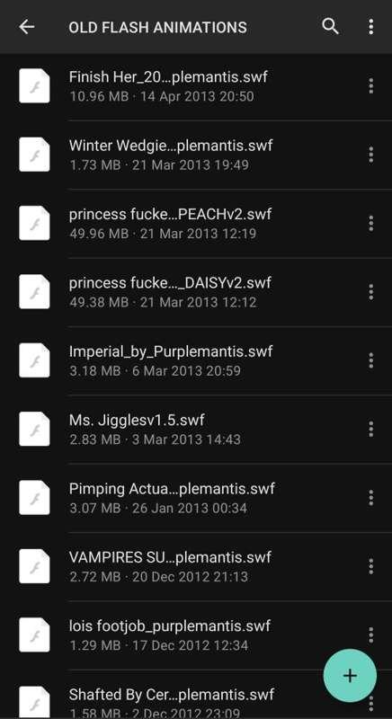 Old Flash Animation Folder Expanded 