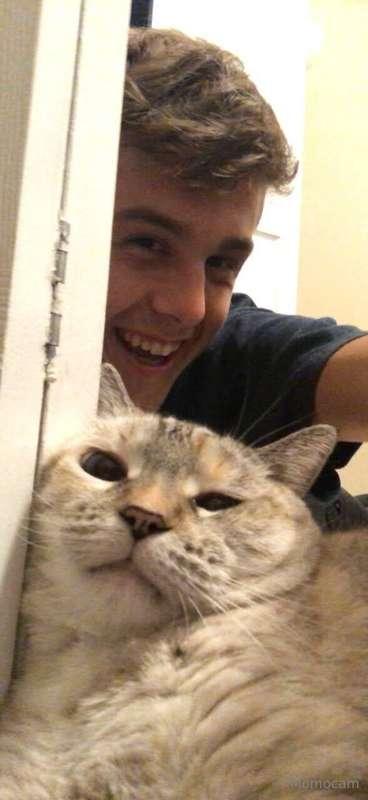 Lost my kitty recently... may she rest well ❤️ Todd 🐈