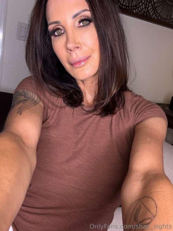 shay_sights main image