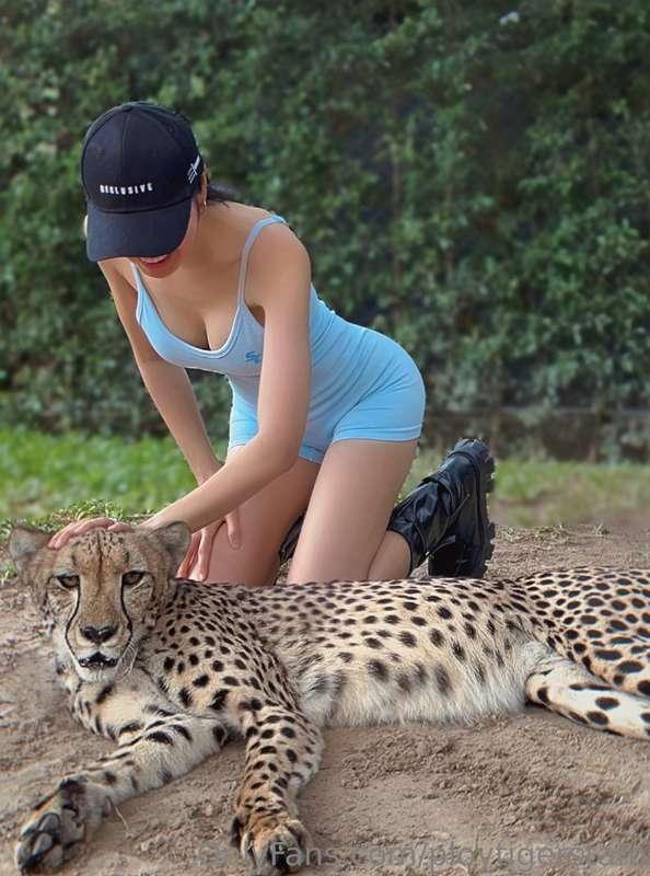 ploytigerstam image #1