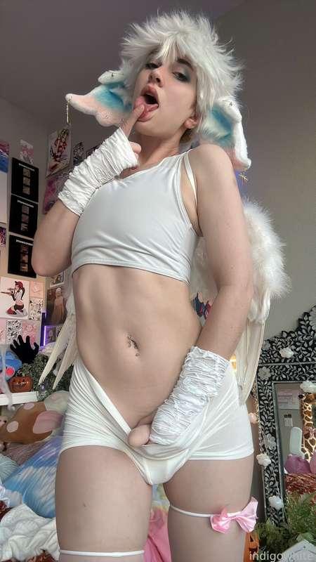 indigowhite image #96