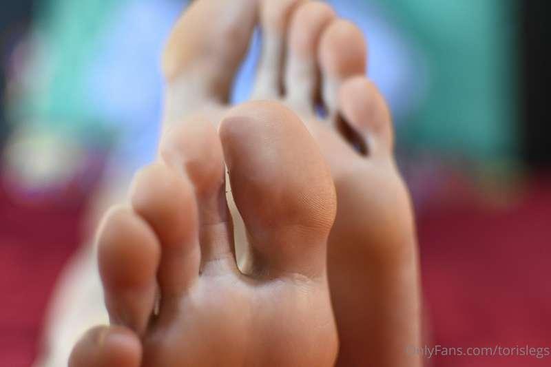 torislegs image #23