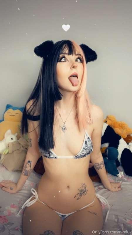 nimapie image #10