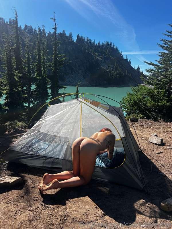court.inthewild image #3