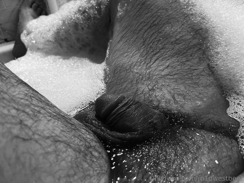 m1dwestbear image #6