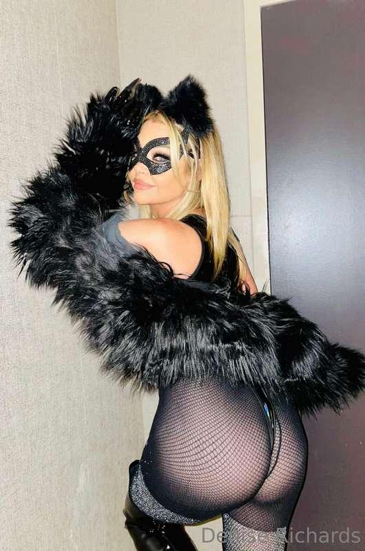 bad kitty needs a little attention