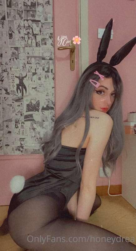 Stasera una coniglietta curiosa vi aspetta in chat 🐰❤️