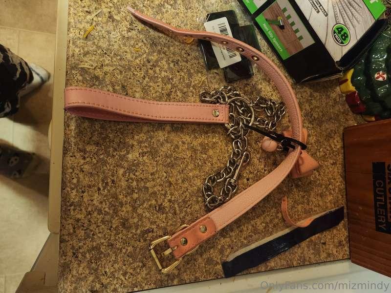 Today my collar got demolished because it's not meant to be ..