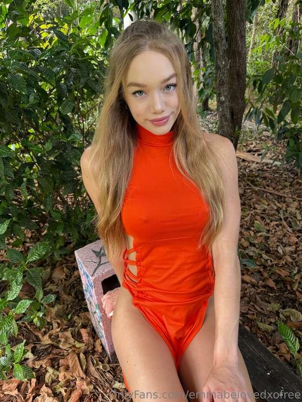 🍊 