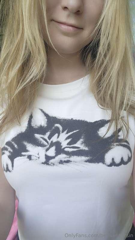 📲 Swipe for some kitties 😸 🍉🍉