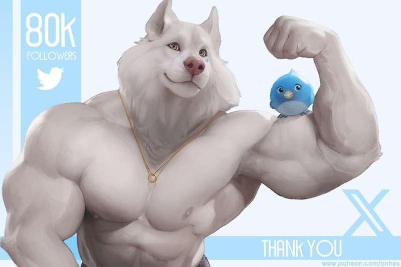80k X followers