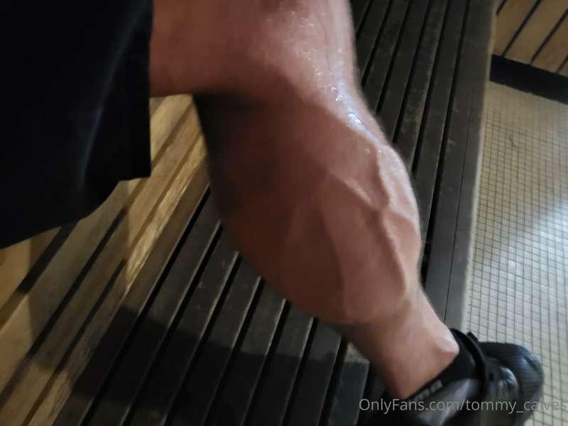 tommy_calves image #3