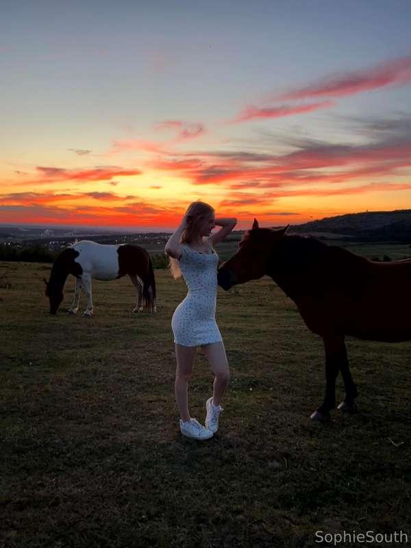 🐴👸