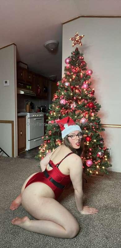 Do you like my Christmas 🎄?! 