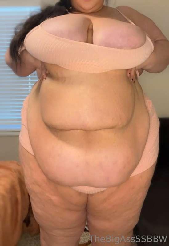 thebigassssbbw1 image #0