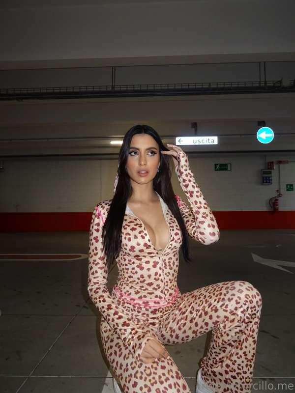 Wild outside, wilder inside 🐯