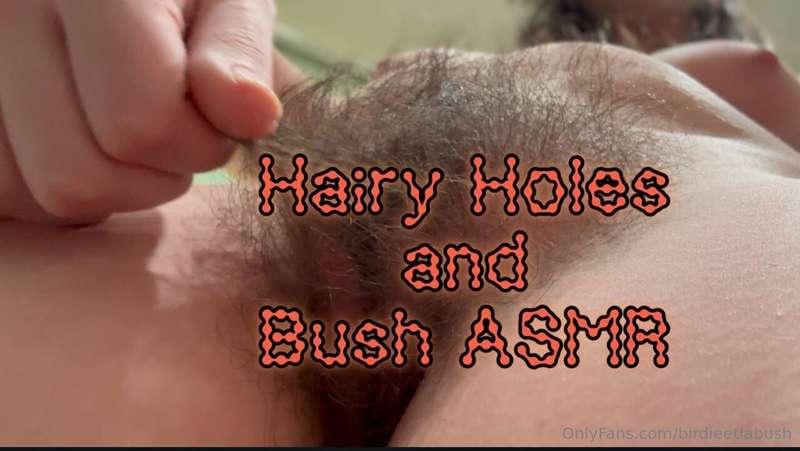 Hairy Holes and Bush ASMRPlayful bush and hole stretching in..