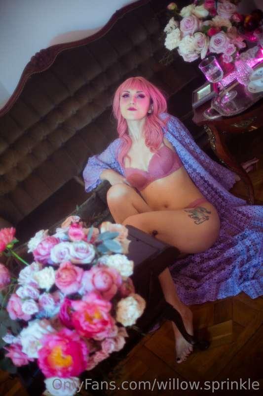 willow.sprinkle image #0