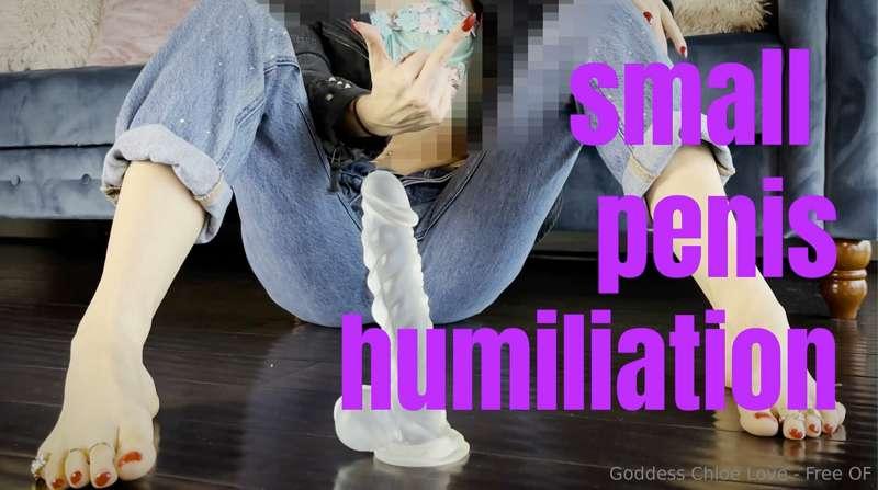 🦐 Small Penis Humiliation for NPCs Gooning Session 😈📍 Let's ..