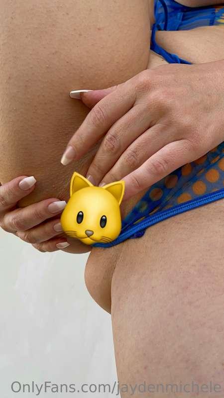 Check those dms for some brand new 🐱 content!!!!
