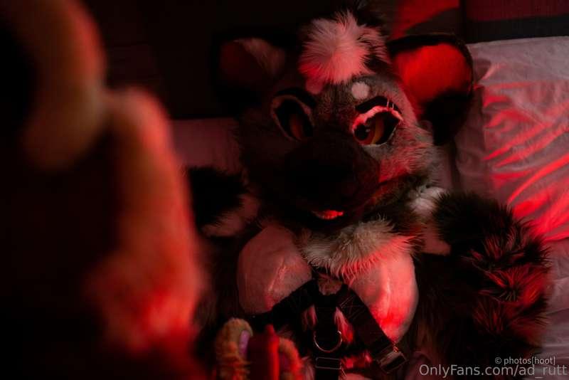 ad_rutt image #8