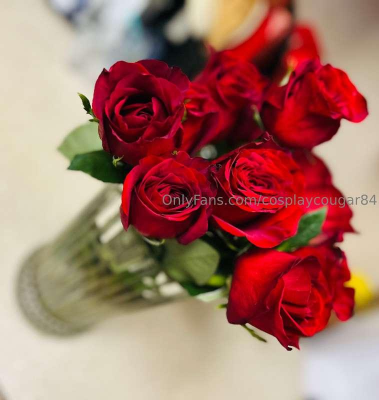 These roses are gorgeous and smell so good. 🥰