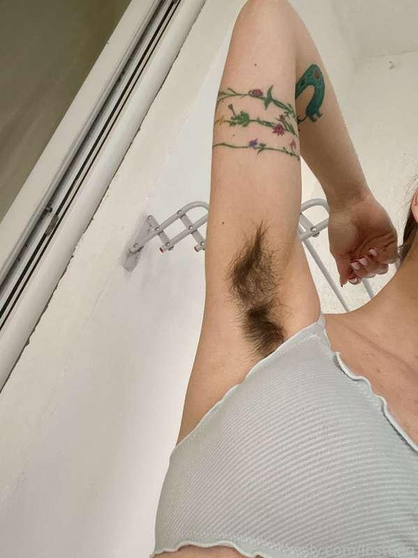 lostodg image #1