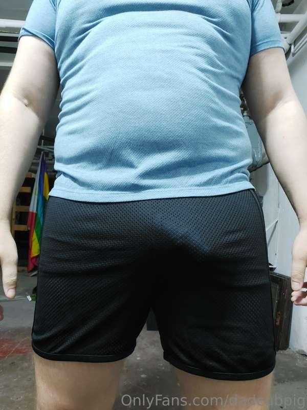 dadcubpig image #1
