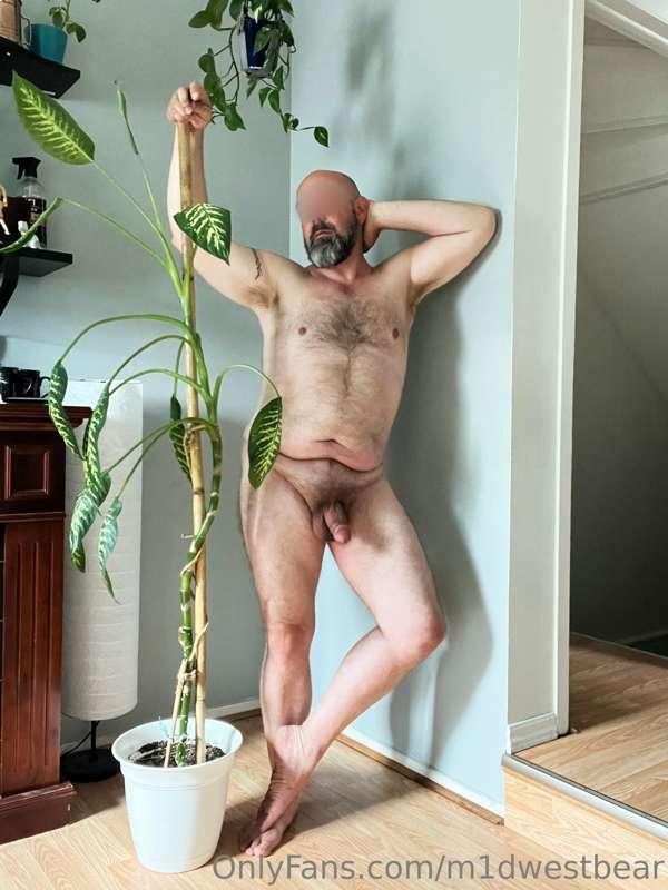 m1dwestbear image #3
