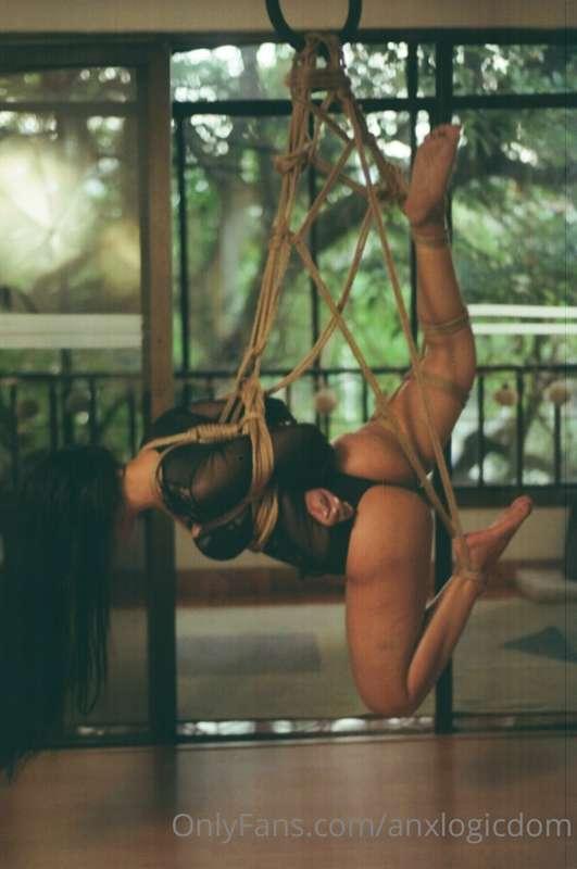 anxlogicdom image #2