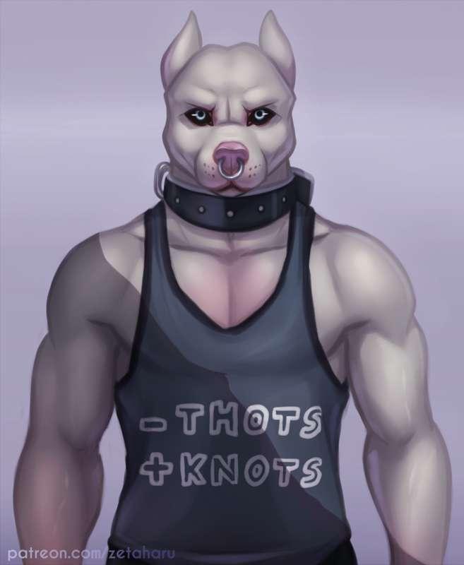 Pitbull Terrier