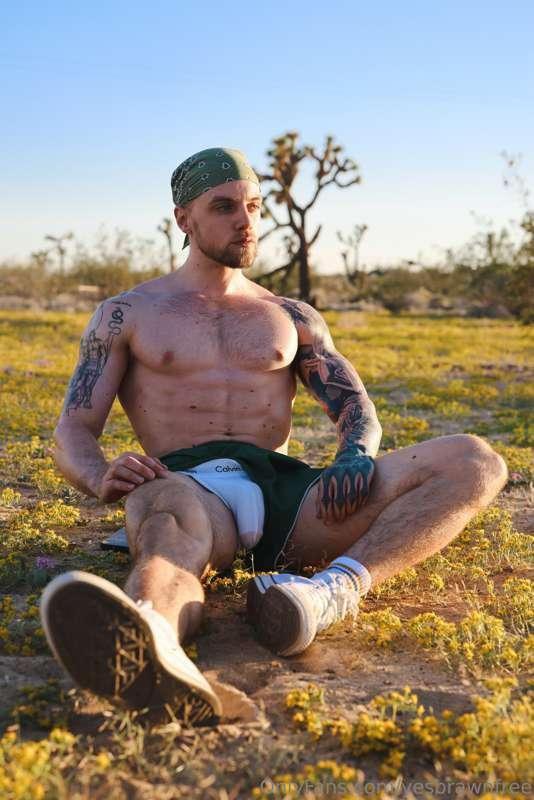 yesbrawnfree image #1