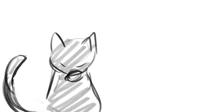 Animatics and sketch 