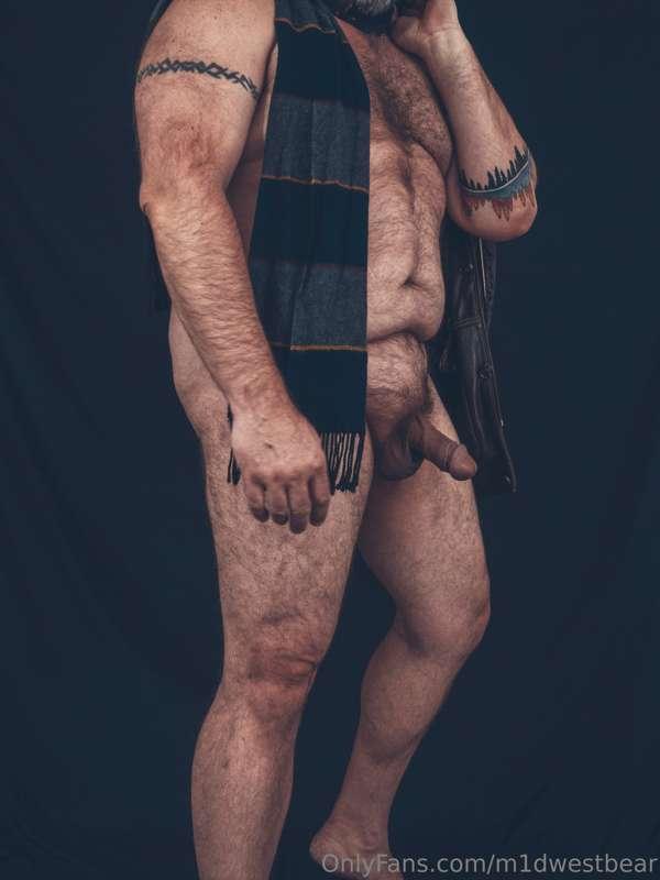 m1dwestbear image #5