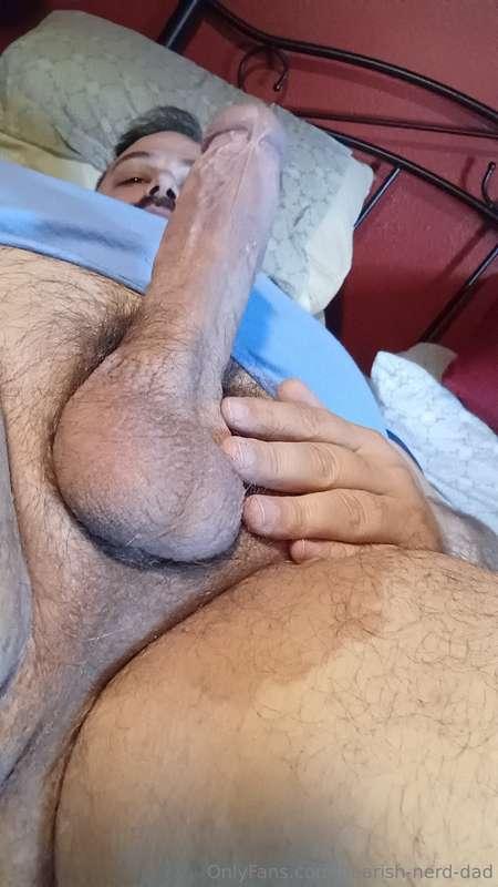 bearish-nerd-dad image #0