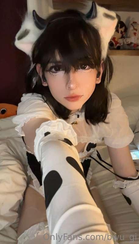 bwu_gi image #10