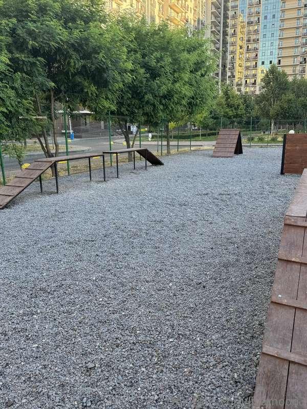 Jack's playground walk ahah! if you have dogs, do you visit ..