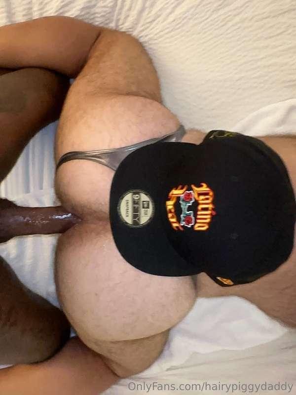 hairypiggydaddy image #3