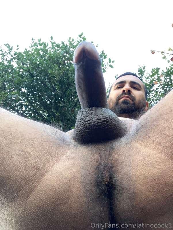 latinocock1 image #3
