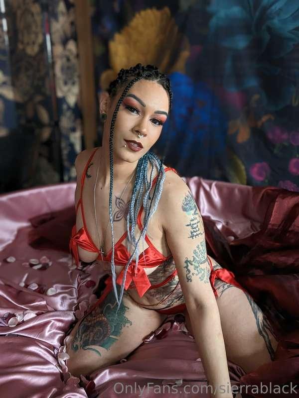 sierrablack image #0