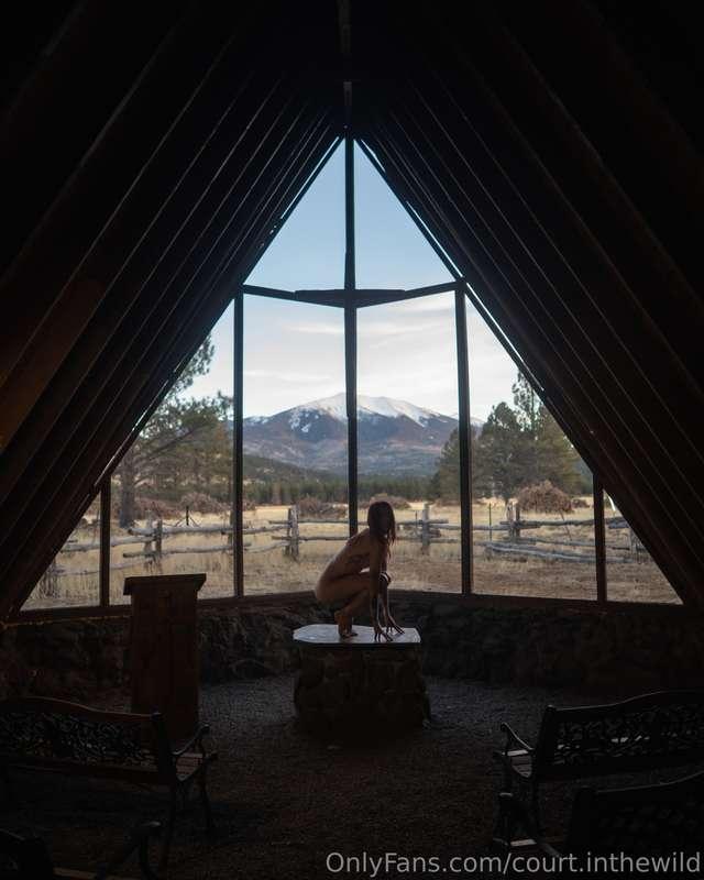court.inthewild image #2