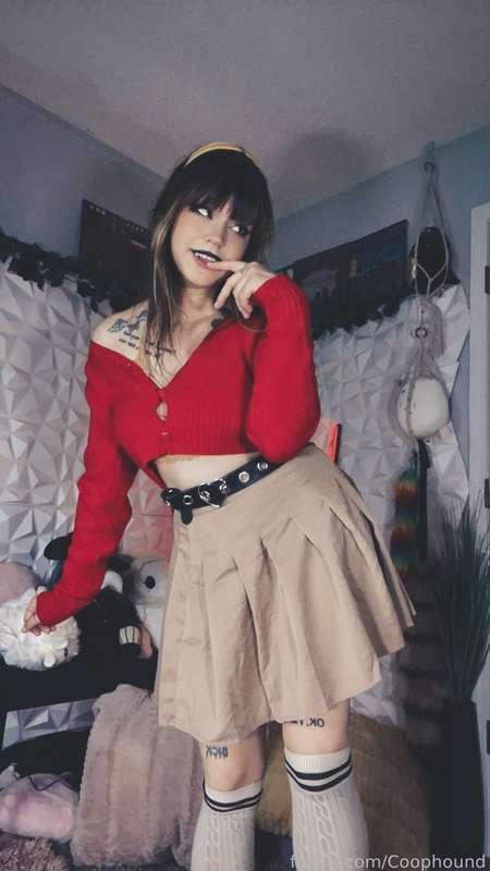 coophound image #2