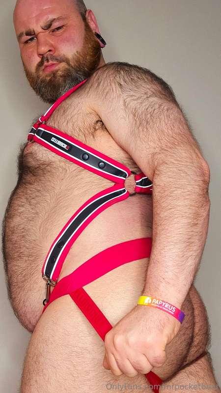 mrpocketbear image #6